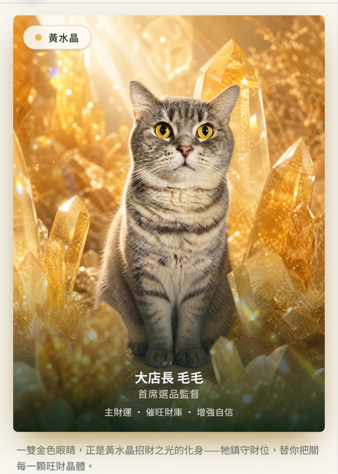 🪙 毛毛精選｜招財系列